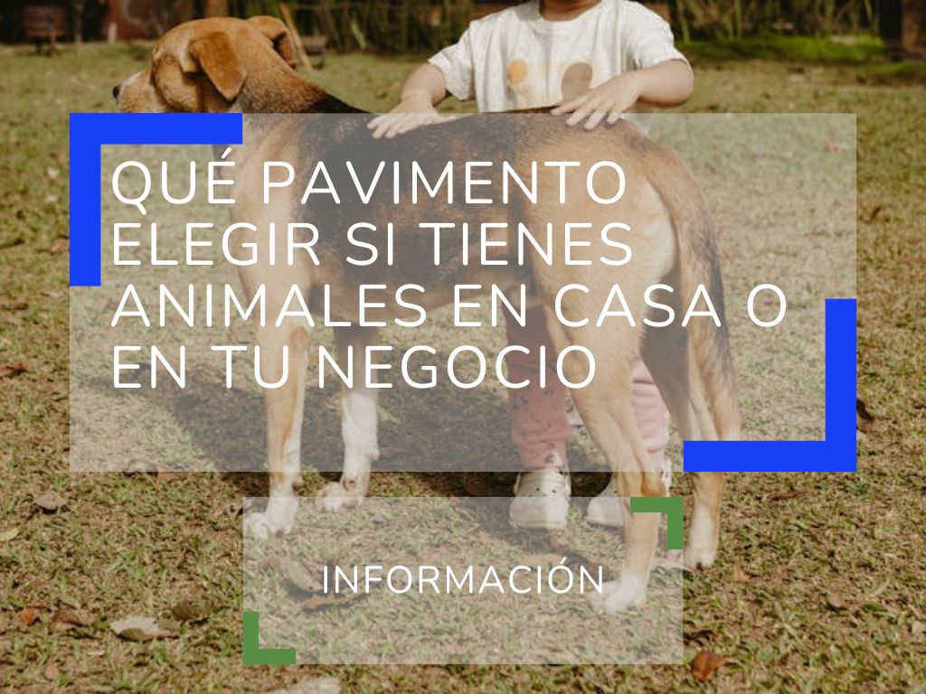 Qué pavimento elegir si tienes animales en casa o en tu negocio